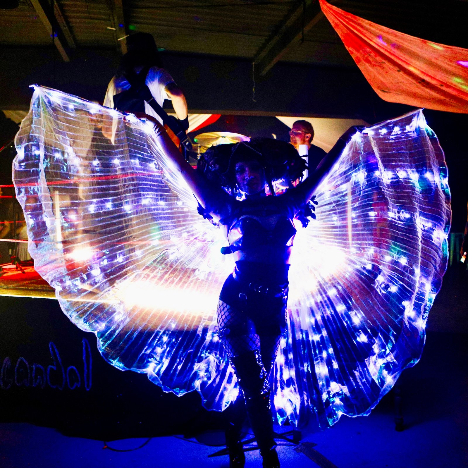 IMG 4675