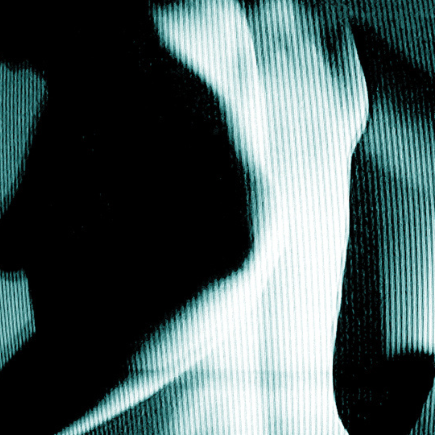 untitled design (1)